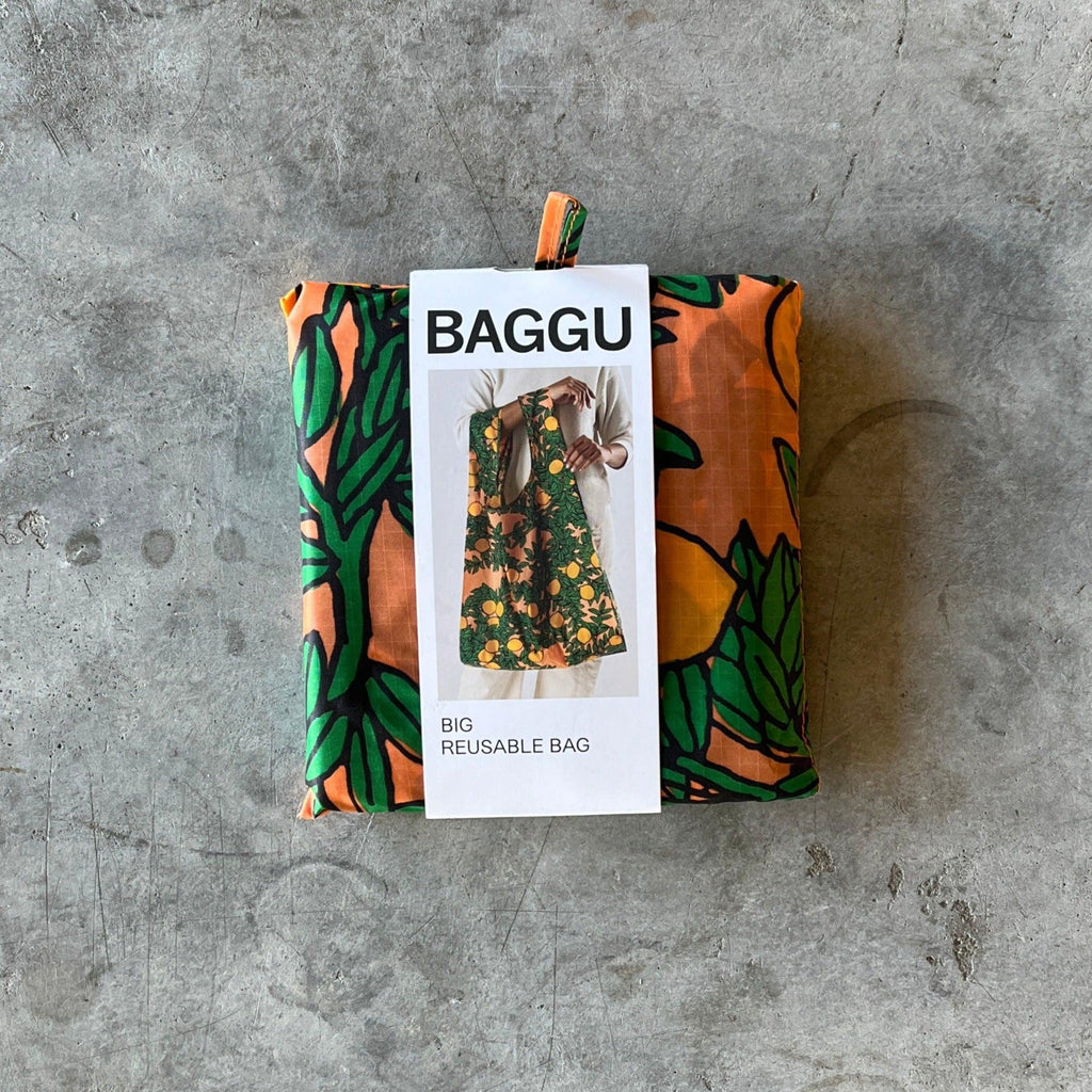 Baggu - Big Reusable Bag - Shop Duet