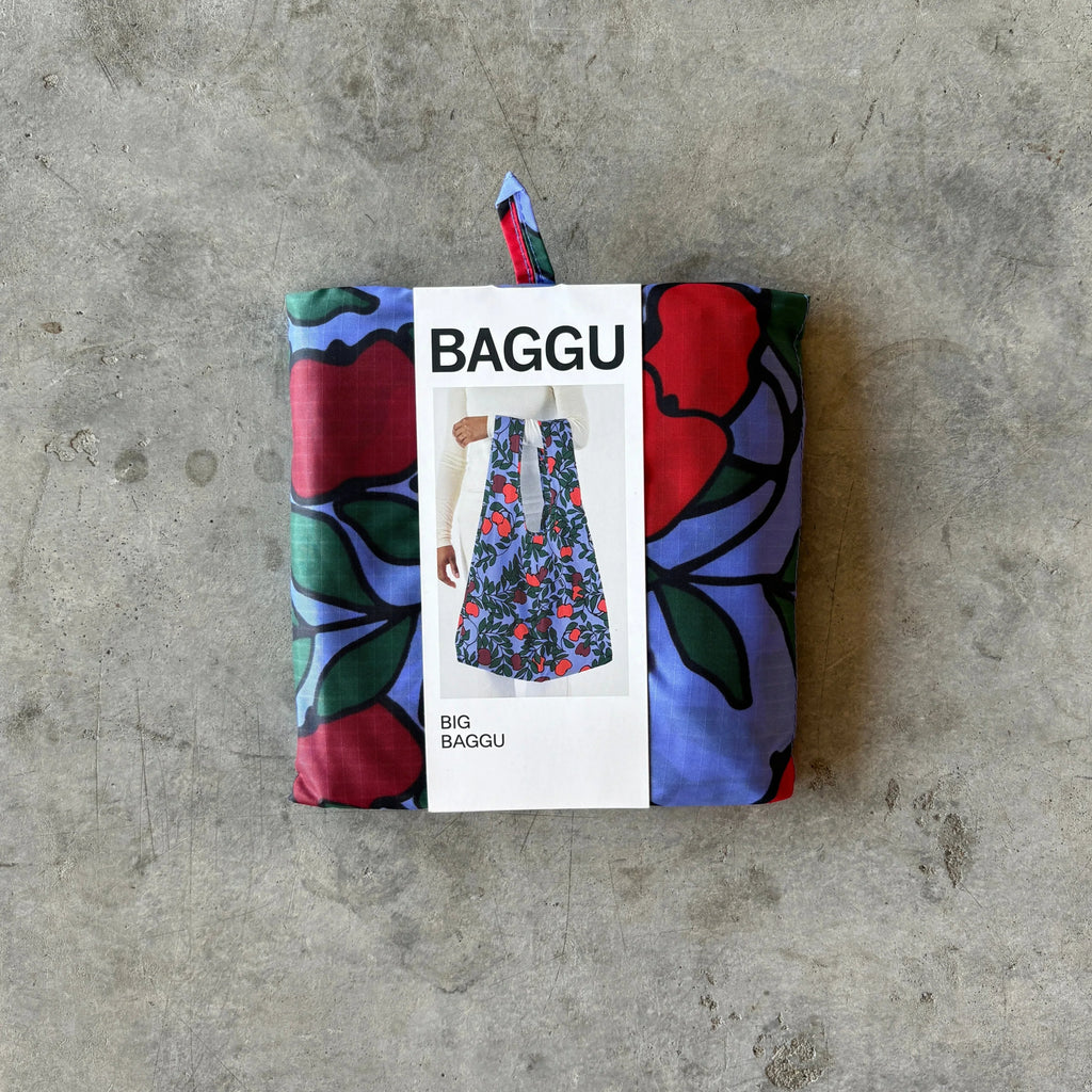 Baggu - Big Reusable Bag - Shop Duet