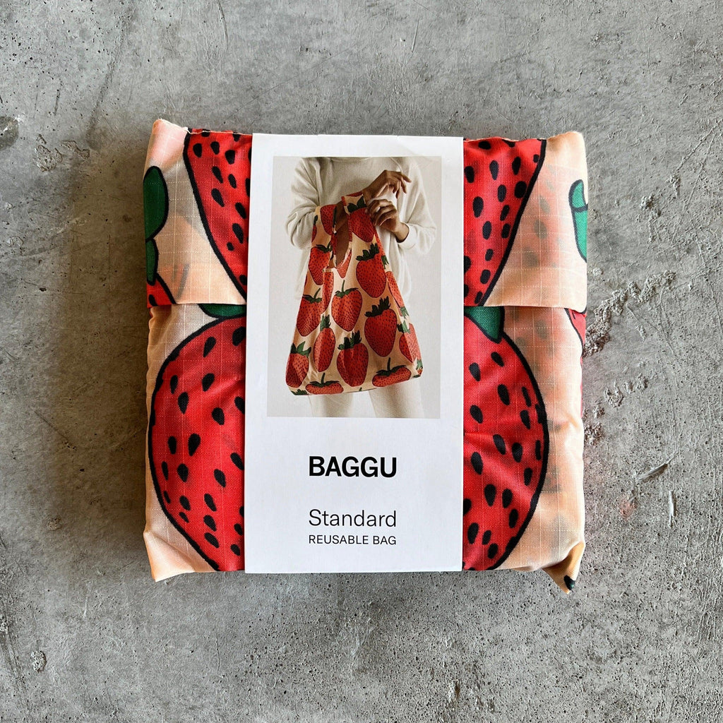 Baggu - Standard Reusable Bag - Shop Duet