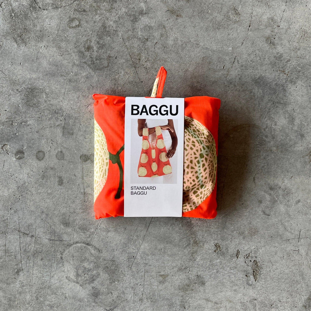 Baggu - Standard Reusable Baggu Bag - Shop Duet
