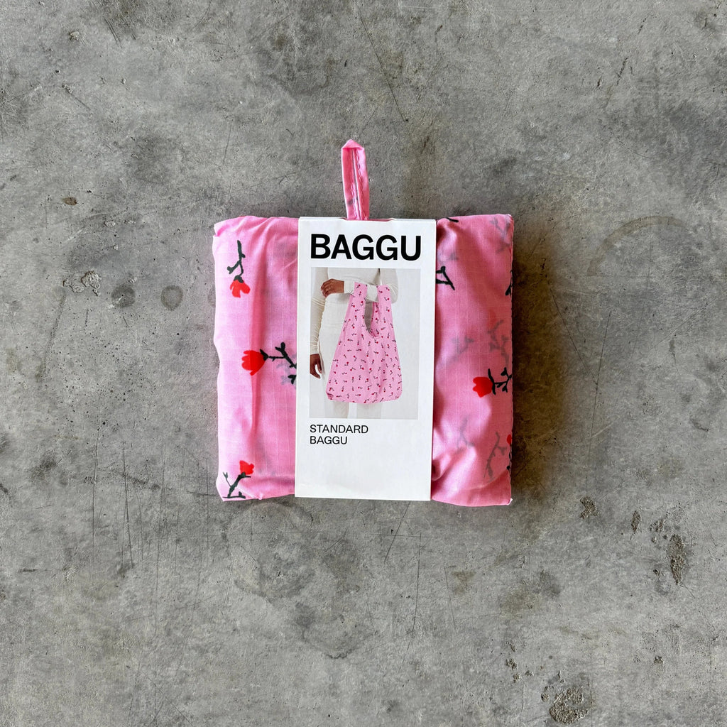 Baggu - Standard Reusable Baggu Bag - Shop Duet