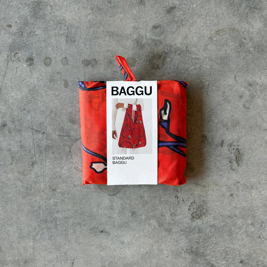 Baggu - Standard Reusable Baggu Bag - Shop Duet