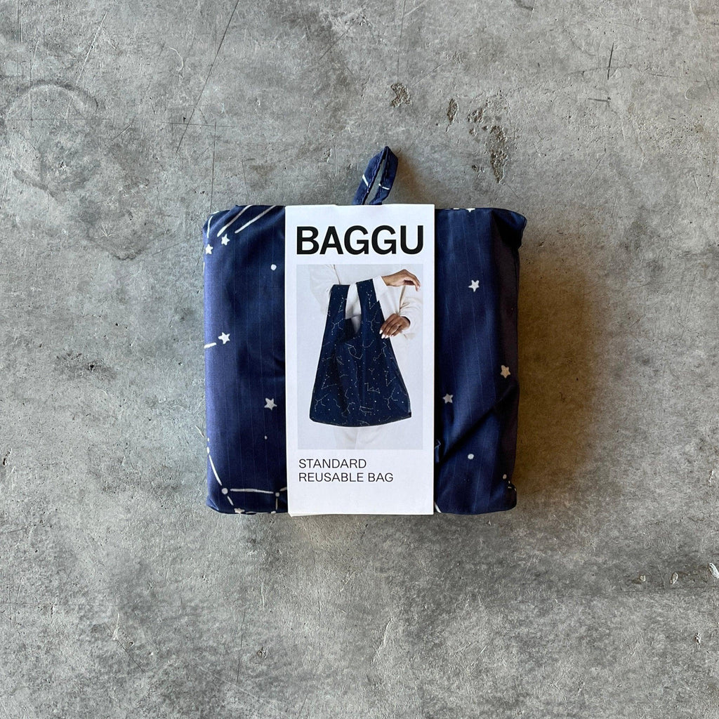 Baggu - Standard Reusable Baggu Bag - Shop Duet