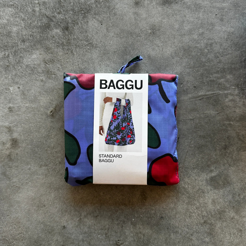 Baggu - Standard Reusable Baggu Bag - Shop Duet