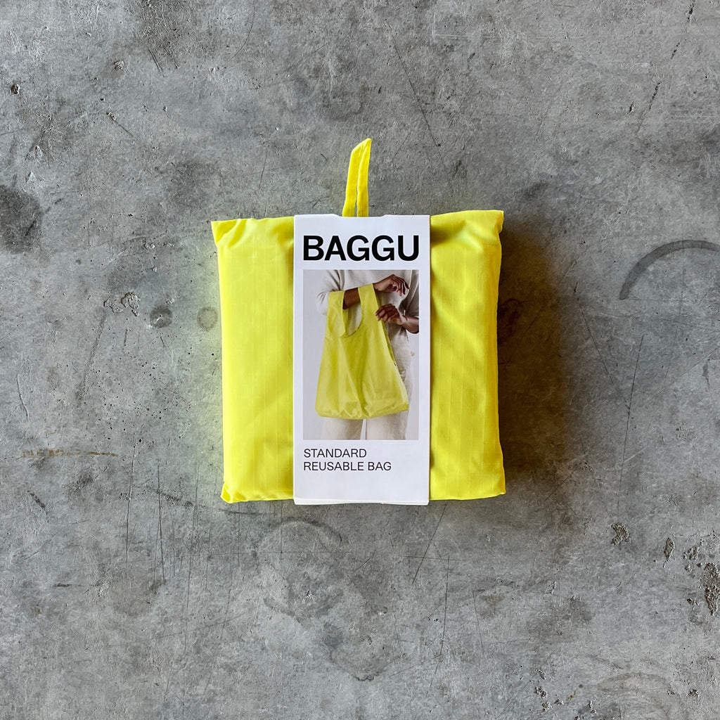 Baggu - Standard Reusable Baggu Bag - Shop Duet