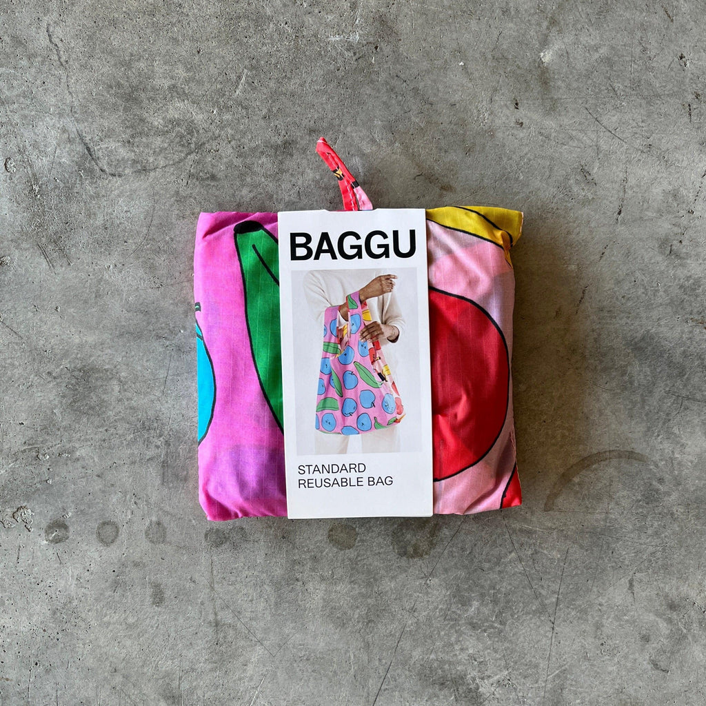 Baggu - Standard Reusable Baggu Bag - Shop Duet