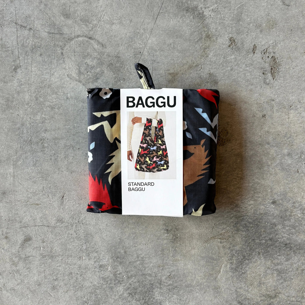 Baggu - Standard Reusable Baggu Bag - Shop Duet