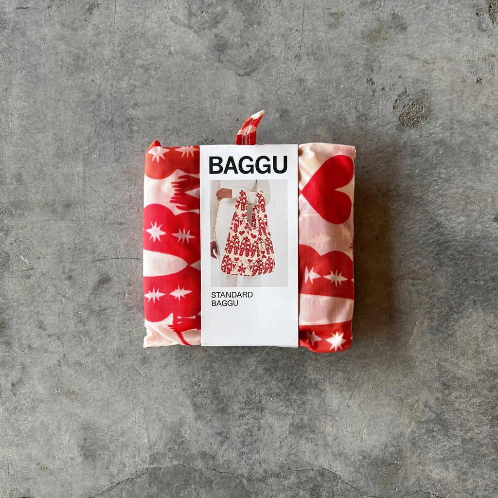 Baggu - Standard Reusable Baggu Bag - Shop Duet
