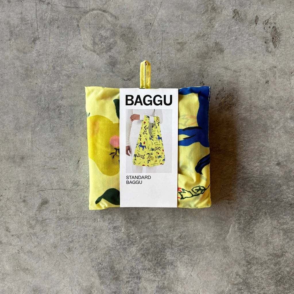 Baggu - Standard Reusable Baggu Bag - Shop Duet