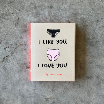 Chronicle Books - I Like You, I Love You Book - Shop Duet