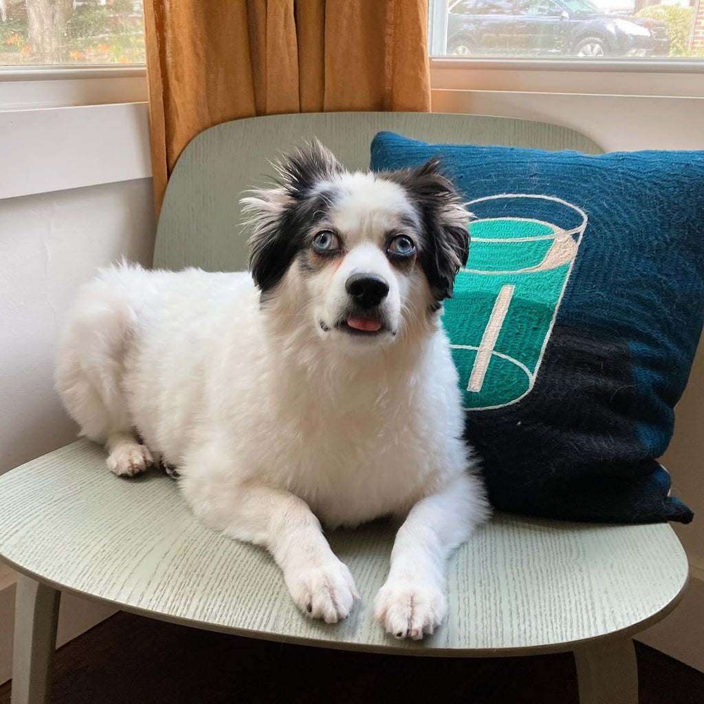 Dusen Dusen - Dusen Dusen Pillows - Shop Duet