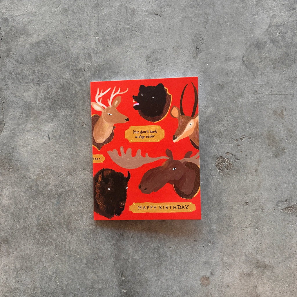 Karen Schipper - Taxidermy Birthday Card - Shop Duet