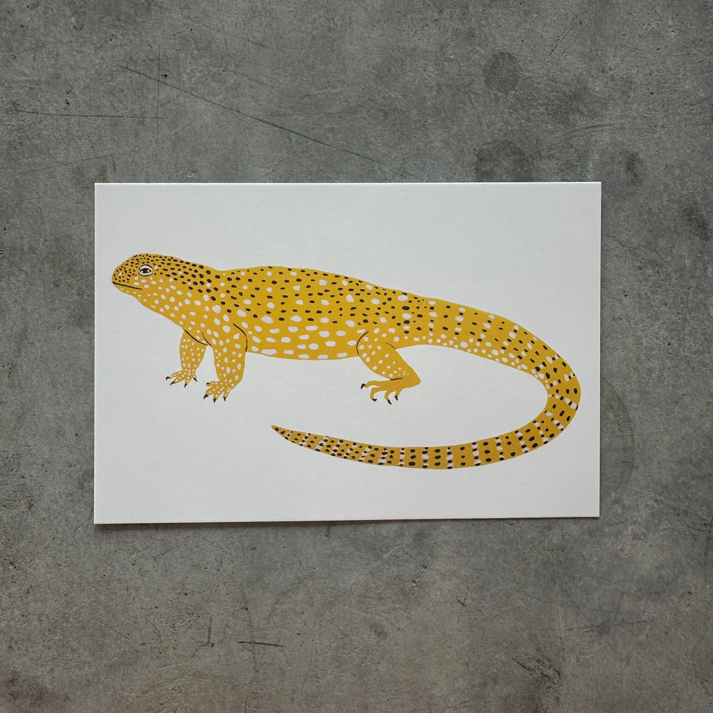 Lorien Stern - Lorien Stern Postcards - Shop Duet