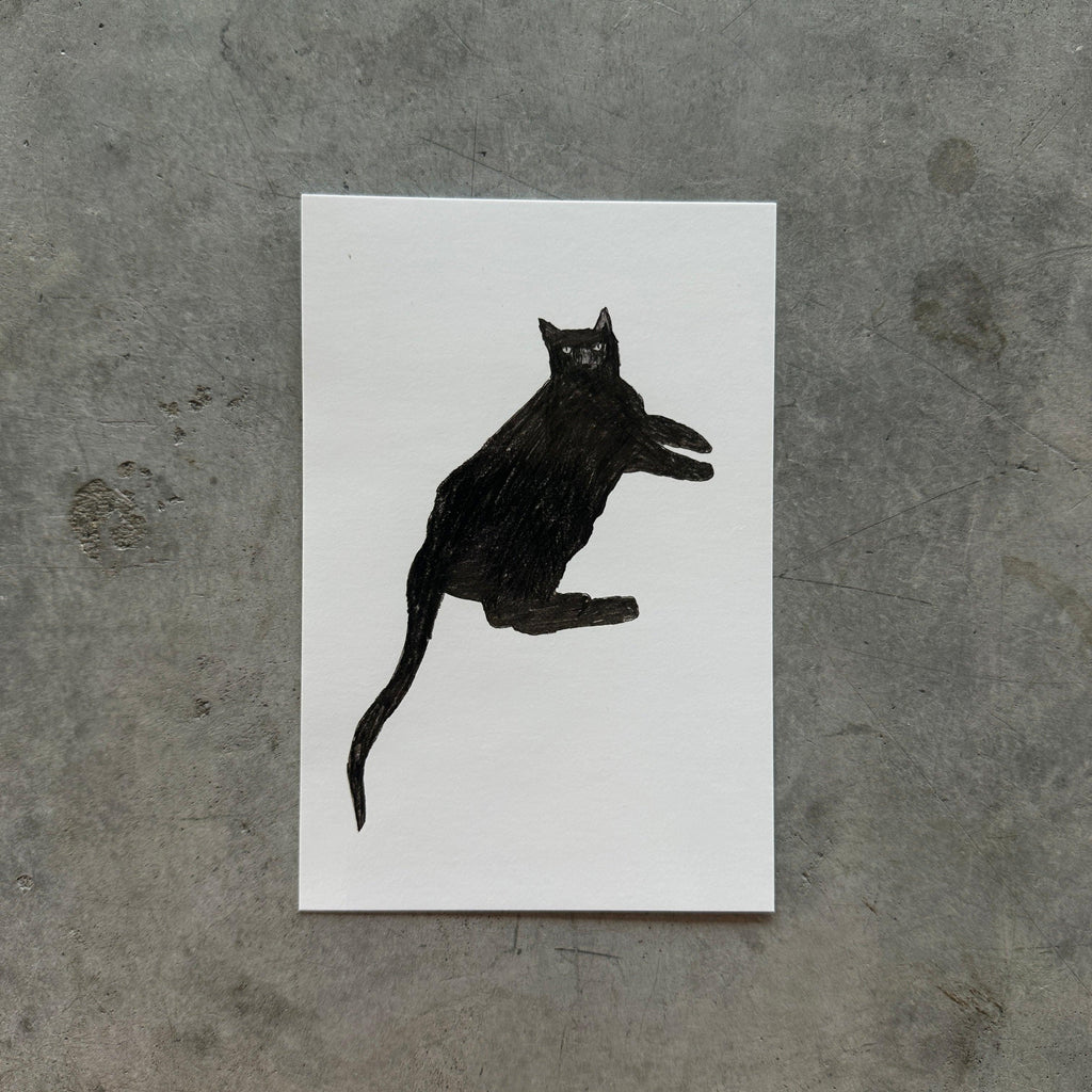 Lorien Stern - Lorien Stern Postcards - Shop Duet