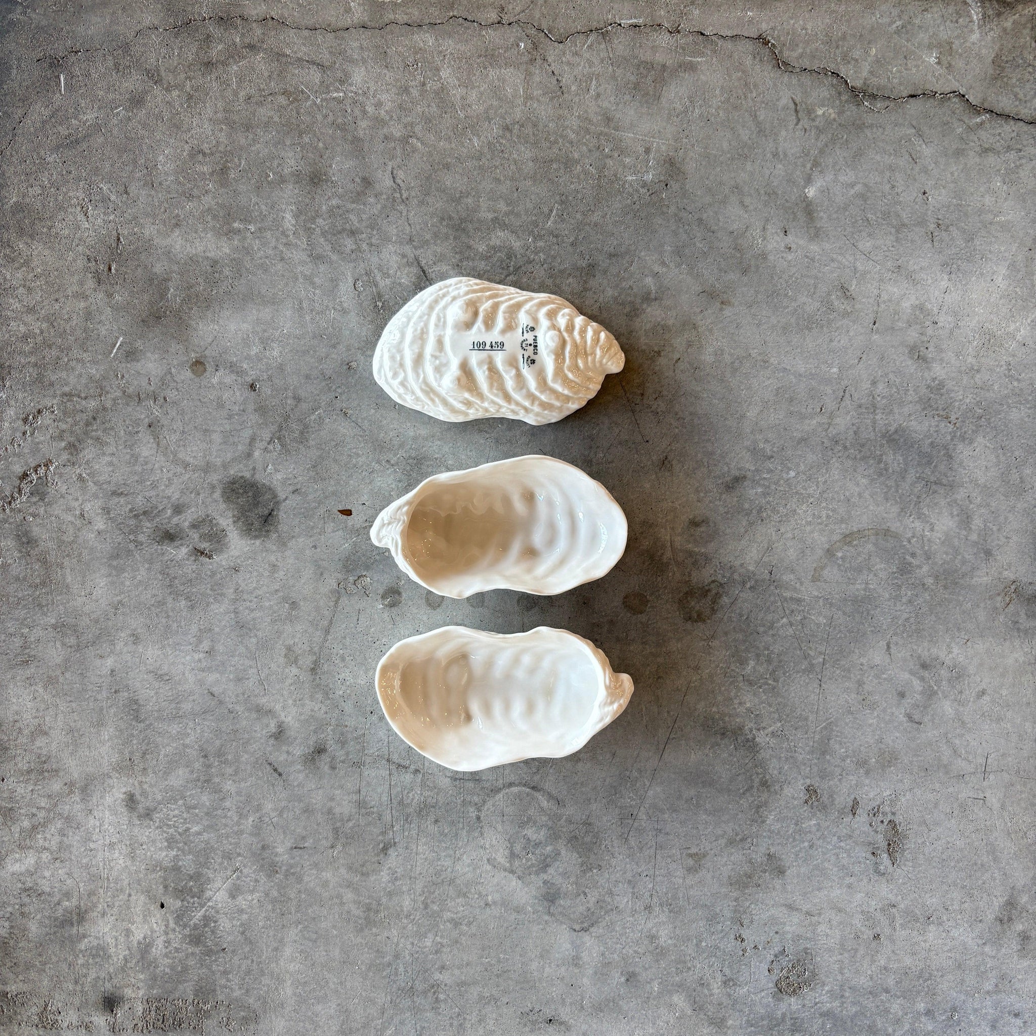 Oyster Shell Tray