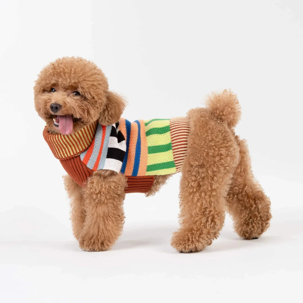 Verloop - Patchwork Stripe Dog Sweater - Shop Duet